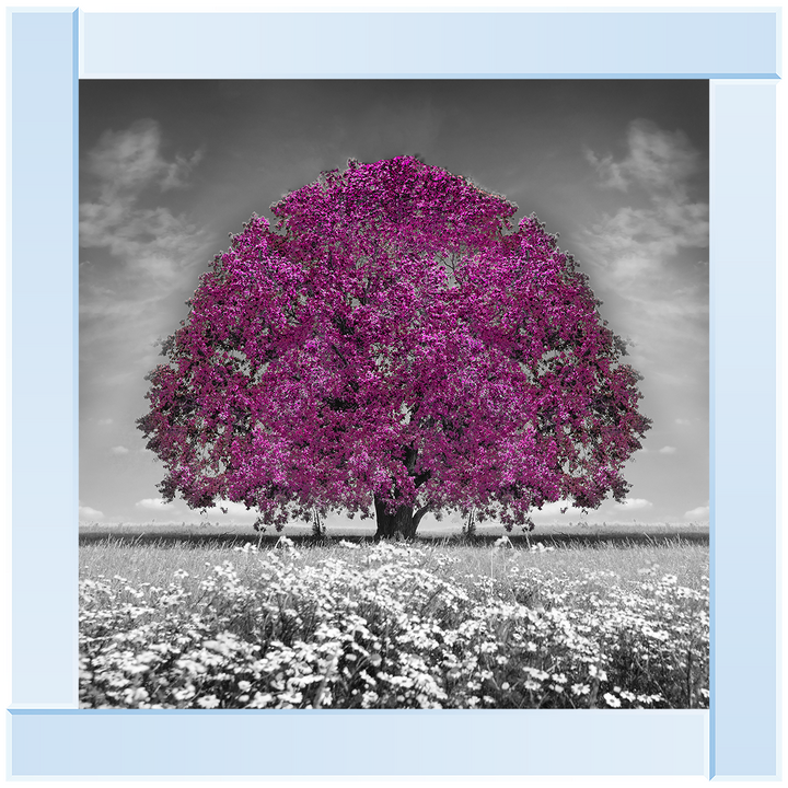 LS271 Purple Oak Tree