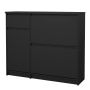 Naia Shoe Cabinet with 2 Flip-Down Doors, 1 Door & 1 Drawer in Matte Black