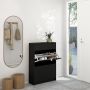 Shoe Cabinet with 2 Flip-Down Doors and 1 Drawer in Matt Black Finish