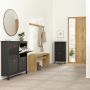Barcelona Shoe Cabinet with 4 Flip-Down Doors in Matte Black