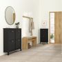 Madrid Shoe Cabinet with 4 Flip-Down Doors in Matte Black