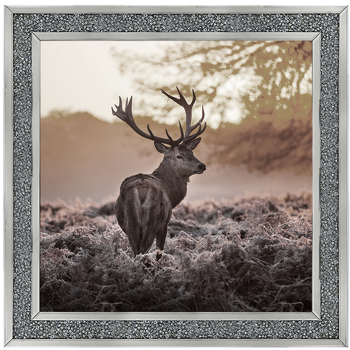 Single Stag