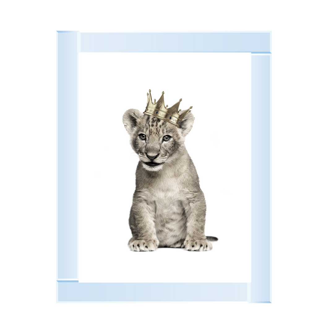 Princess Cub I