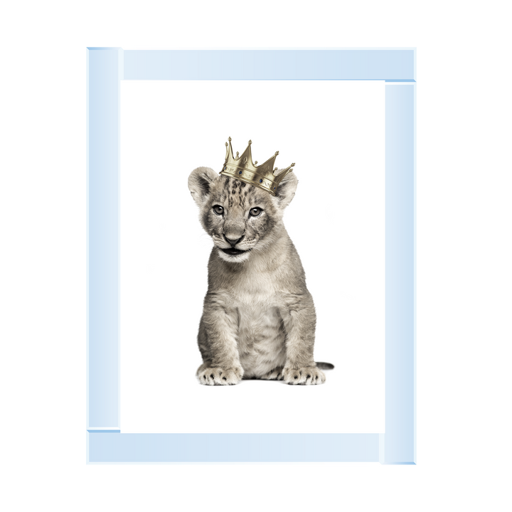 Princess Cub I