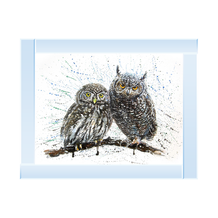 Owls