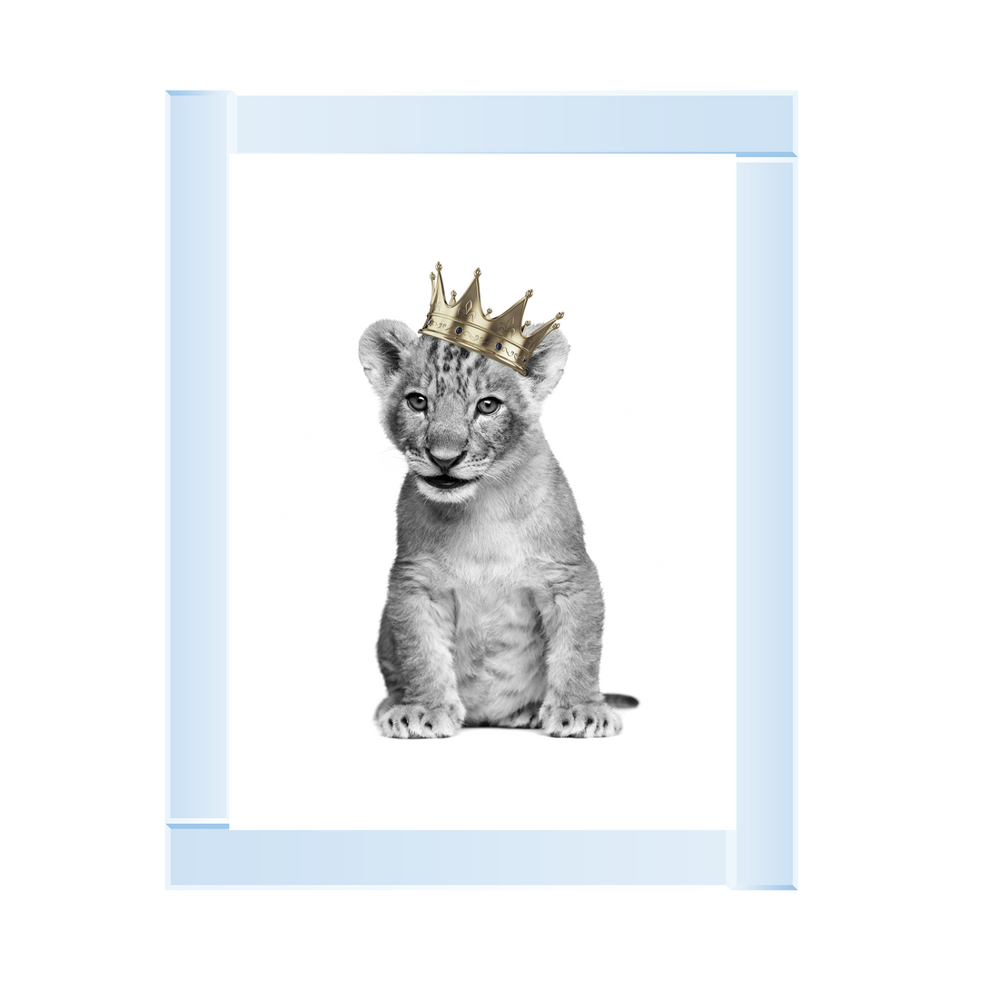 Prince Cub I