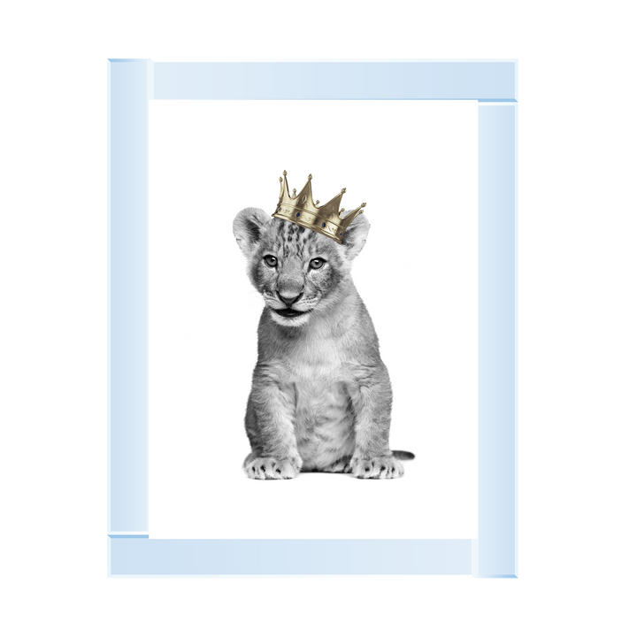 Prince Cub I