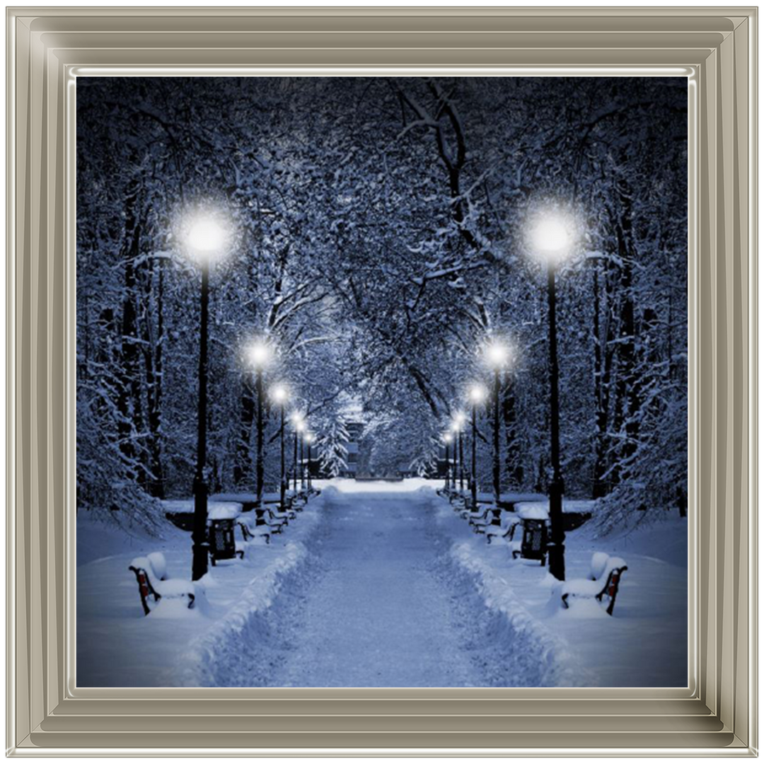 LS068 Wintery Park