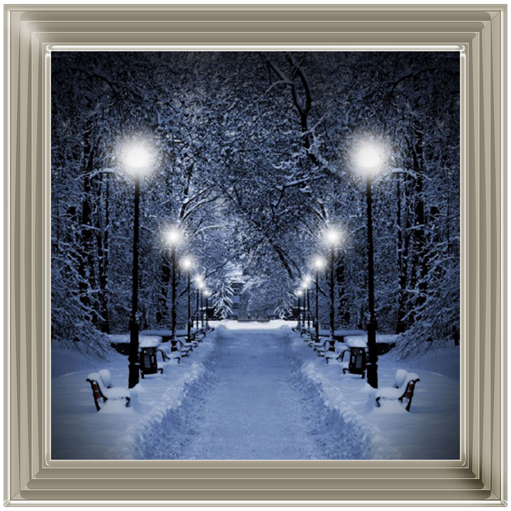 LS068 Wintery Park