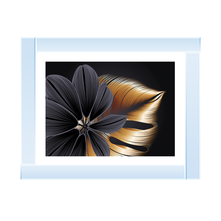 FL236 Black beauty flower