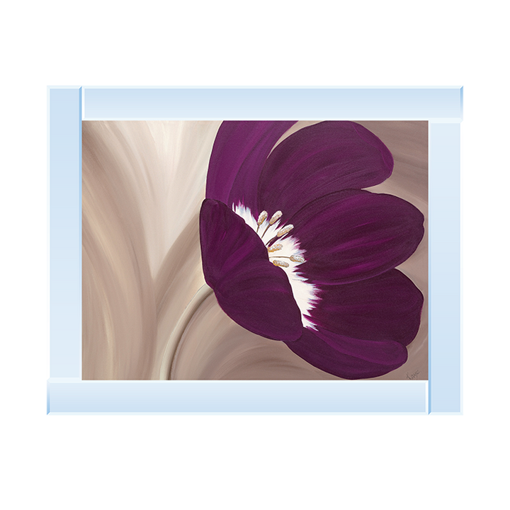 Velvet Poppy