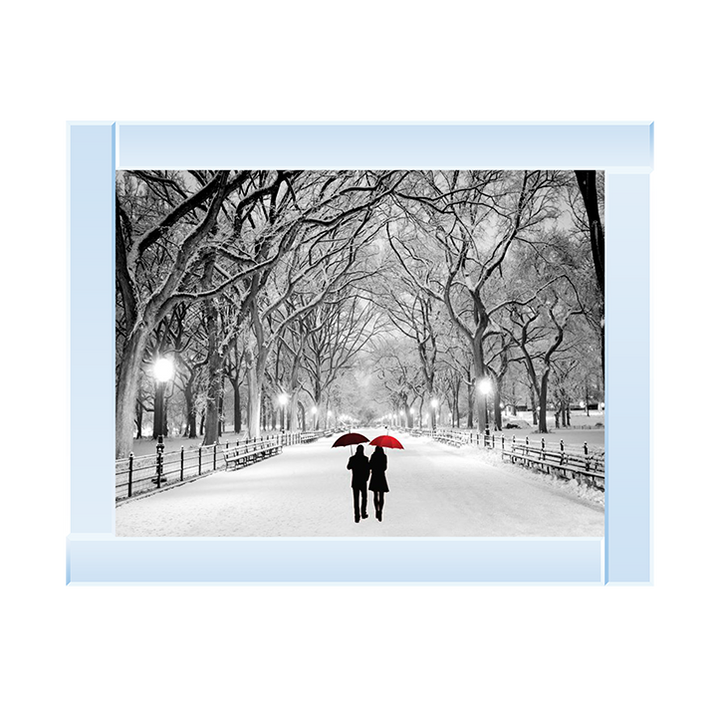 Walk through the snowy park