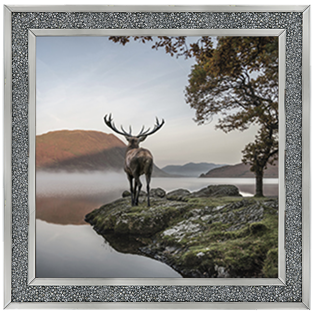 Single Stag 1