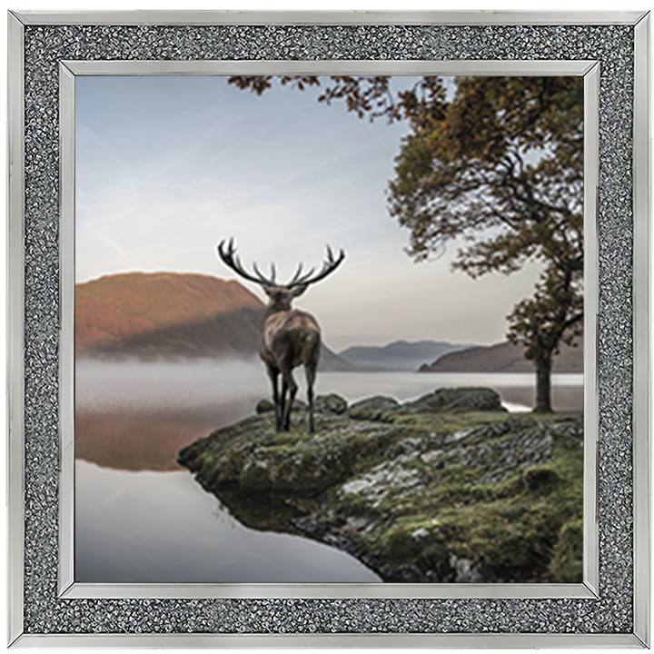 Single Stag 1