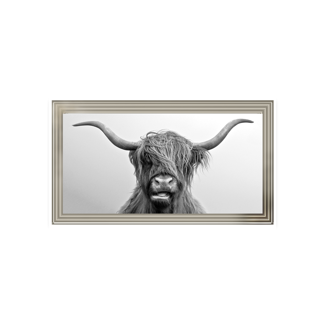 AN280 Highland Cow I