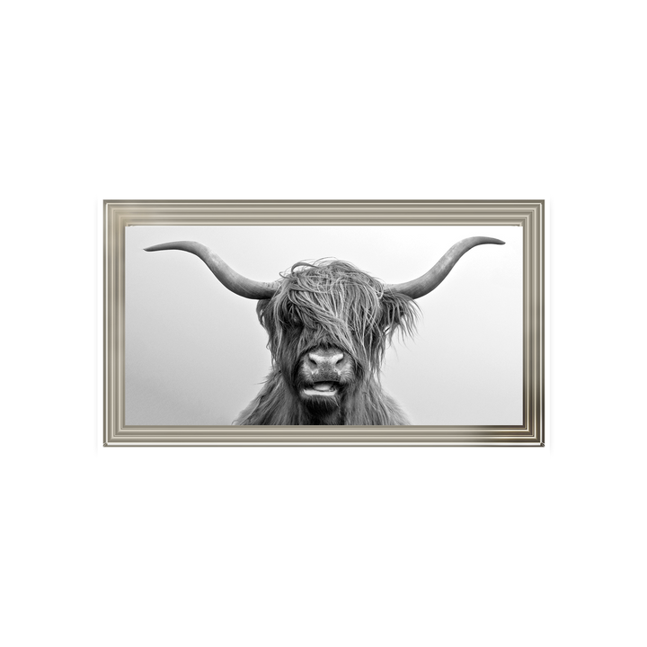 AN280 Highland Cow I