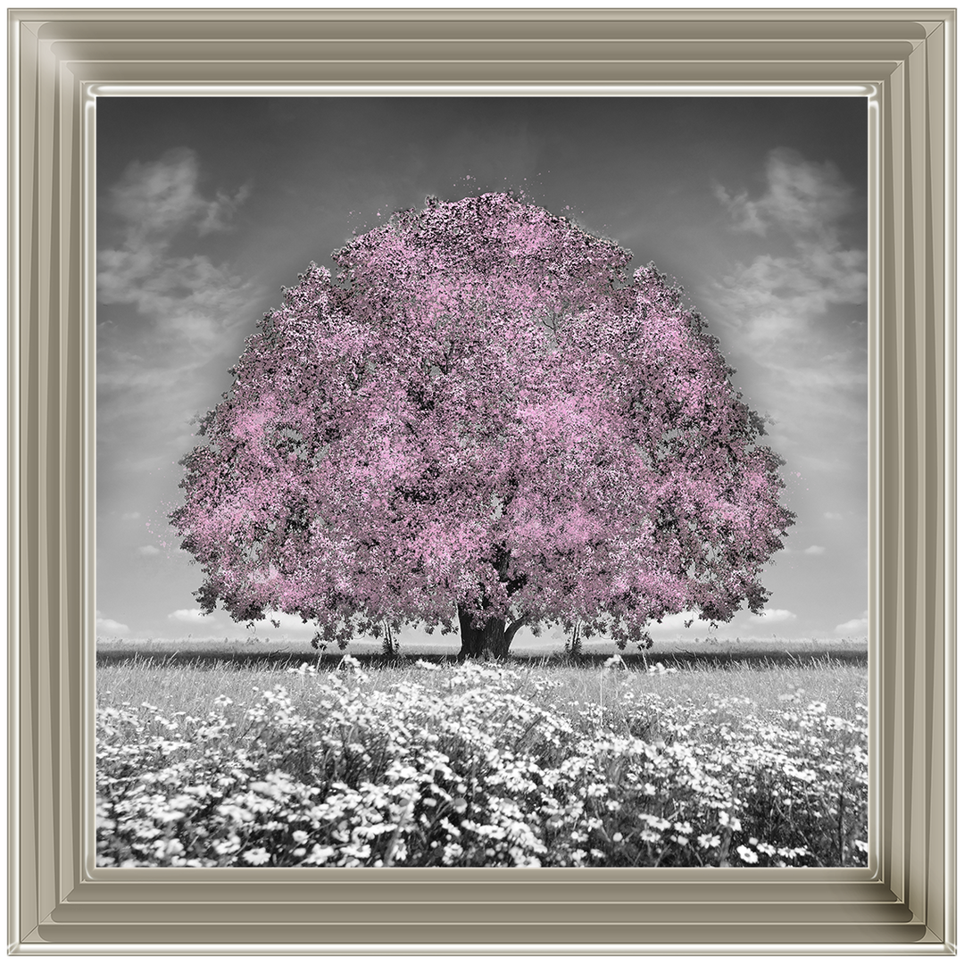 LS275 Pink Oak Tree