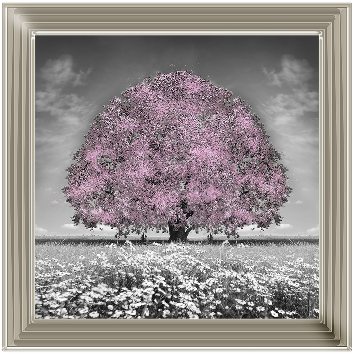 LS275 Pink Oak Tree