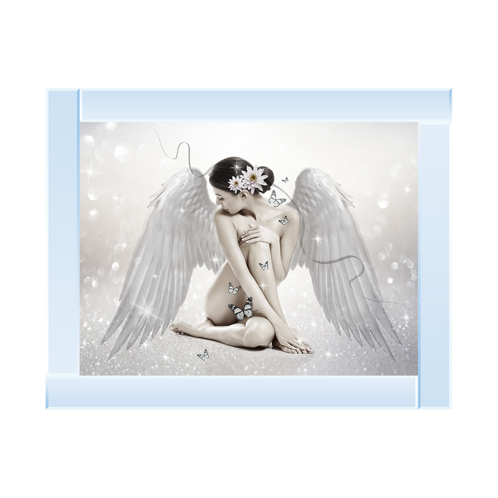 FG020 Angel & Butterflies