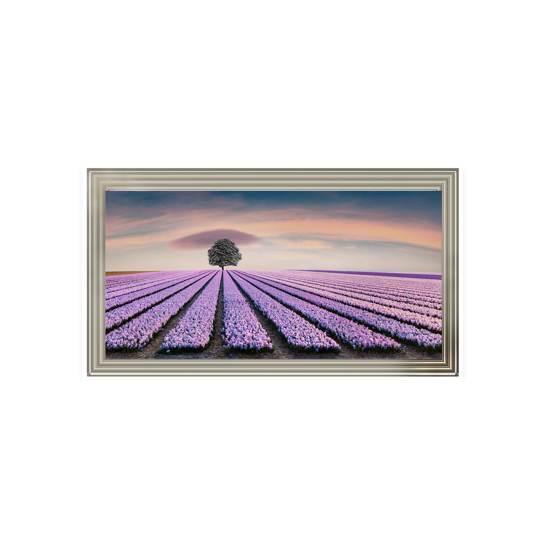 Purple Purple Field I