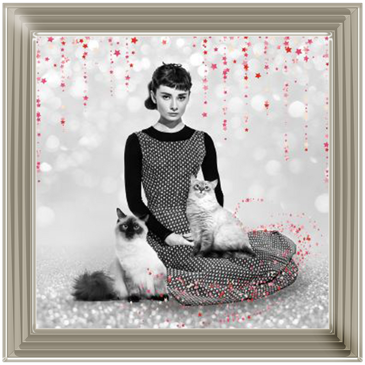 IC011 Audrey and cats