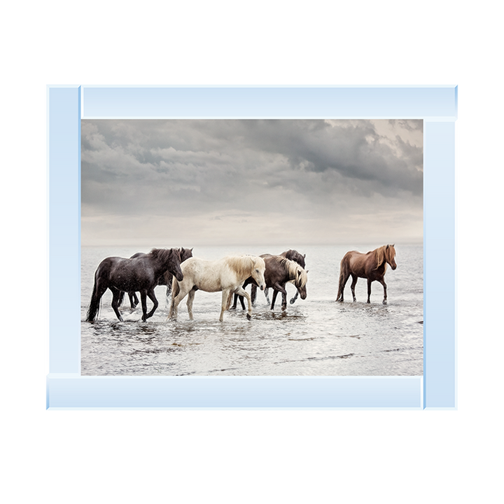 Water Horses IV
