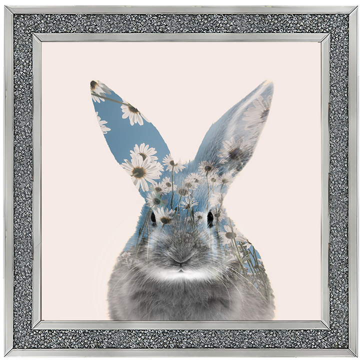 AN313 Daisy dreaming 2