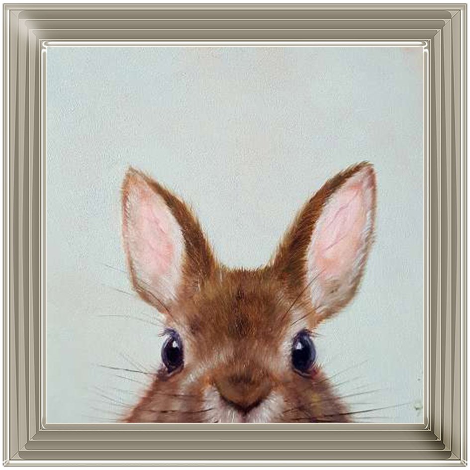 AN230