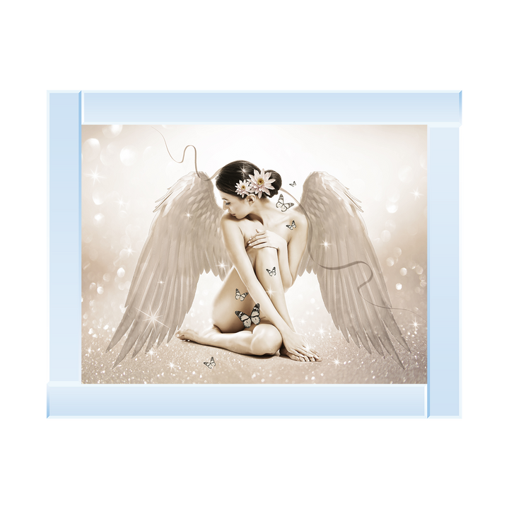 FG021 Angel & Butterflies 2