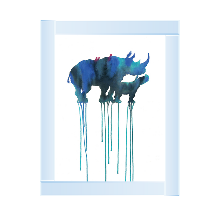 Rhinoceros