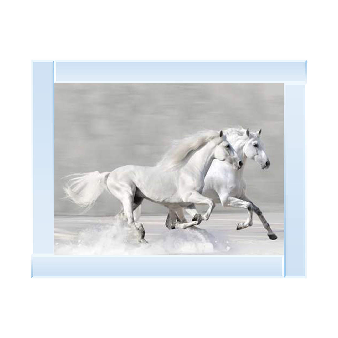 Horses