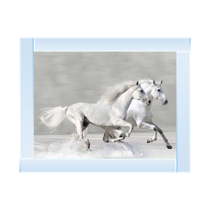 Horses