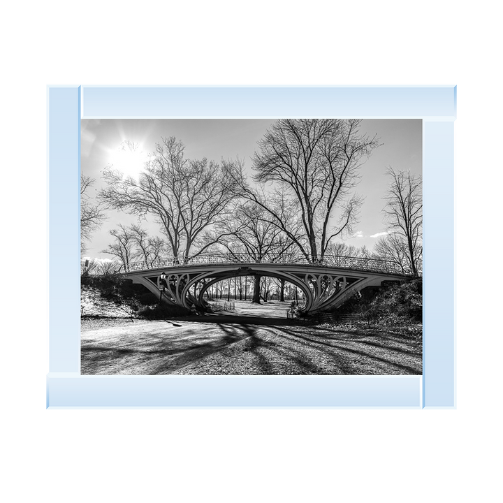 Walkway bridge in Central park, New York