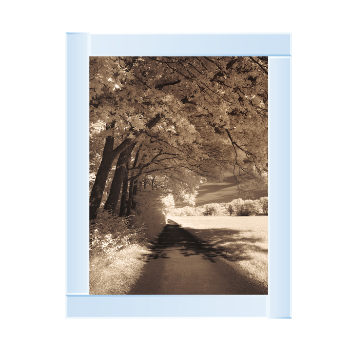 The Path Ahead