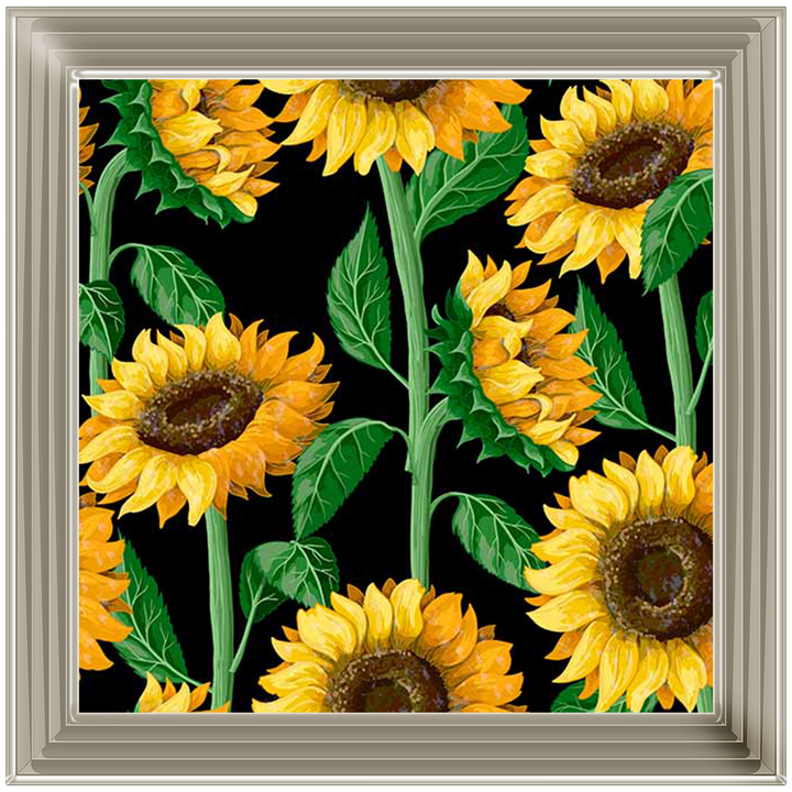 FL272 Climbing Sunflowers
