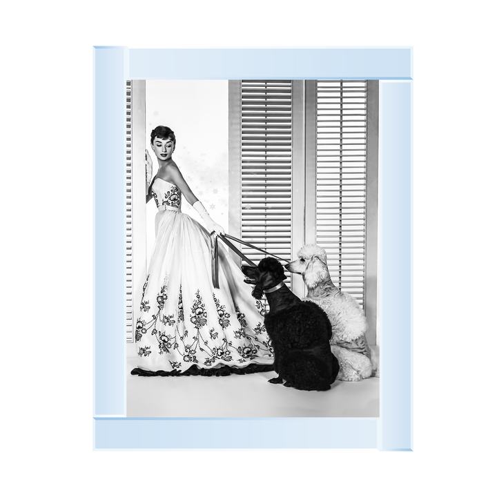 IC005 Audrey Hepburn Poodles