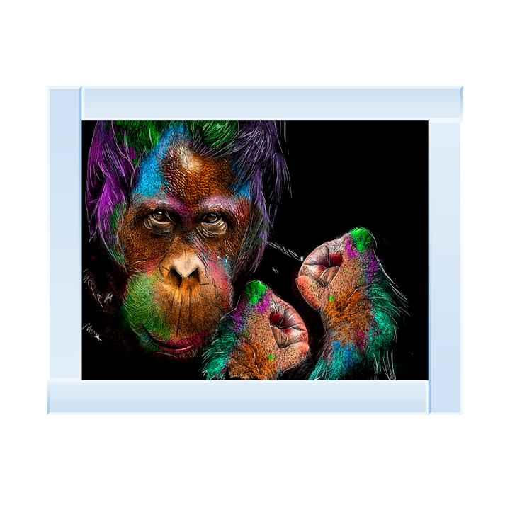 Orangutan