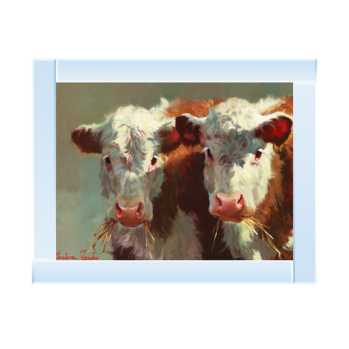 Cow Belles