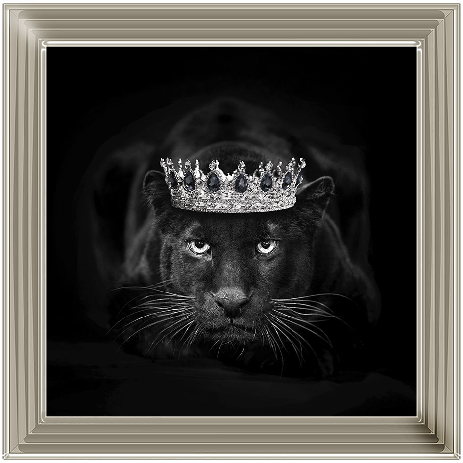 Royal Jaguar