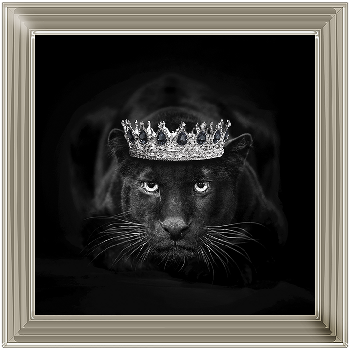 Royal Jaguar