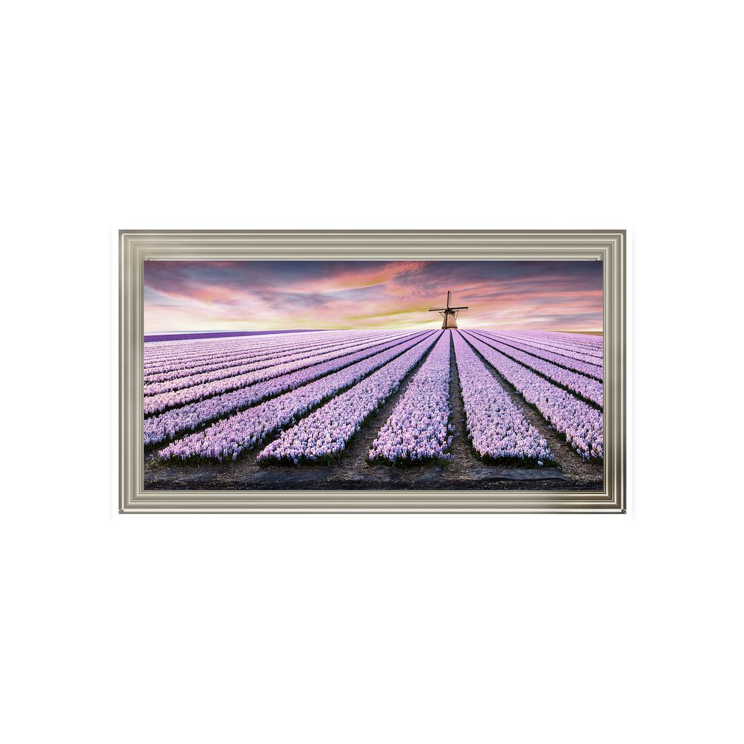 Purple Field