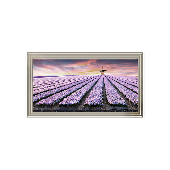Purple Field
