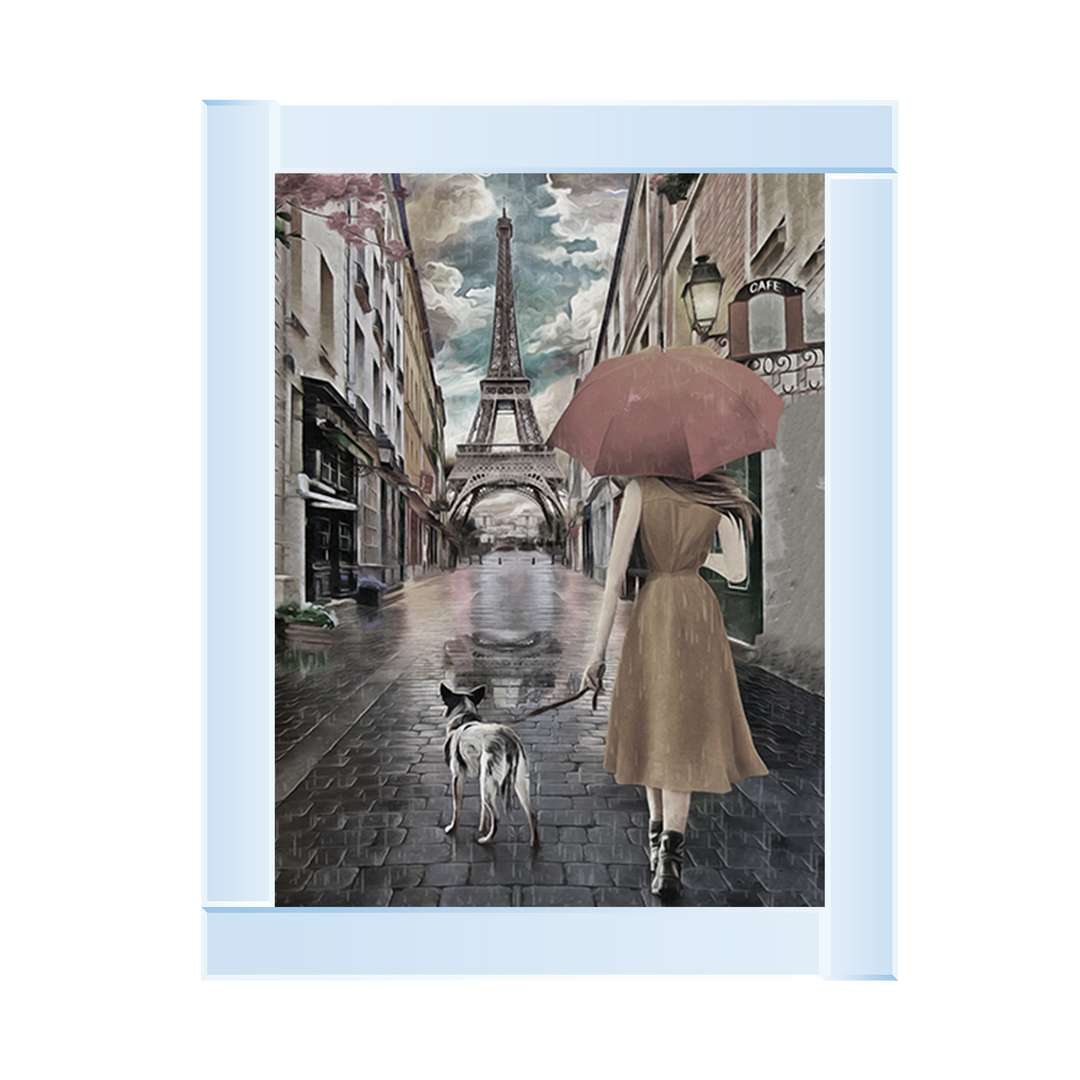 FG387 A rainy day in Paris