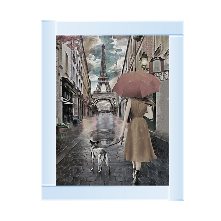 FG387 A rainy day in Paris