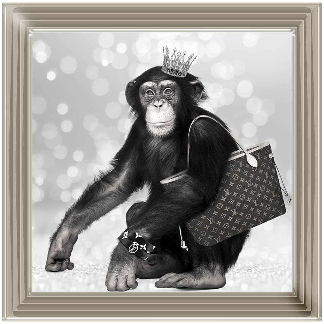 AN151 Designer Monkey