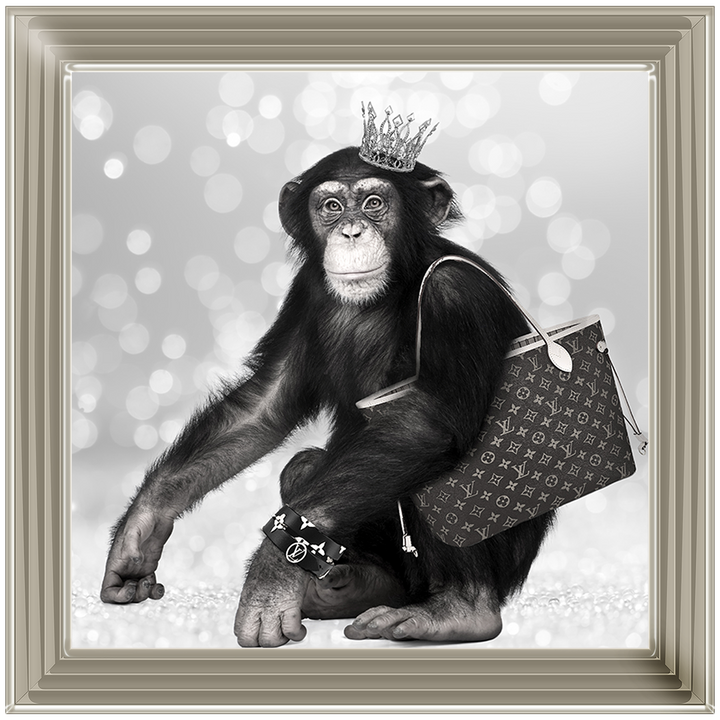 AN151 Designer Monkey
