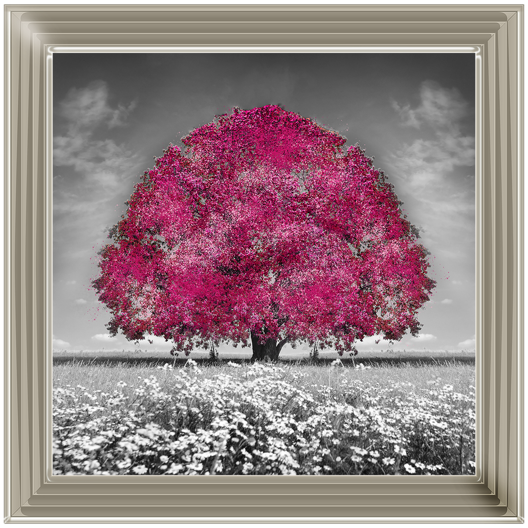 LS272 Pink Oak Tree