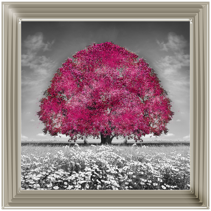 LS272 Pink Oak Tree