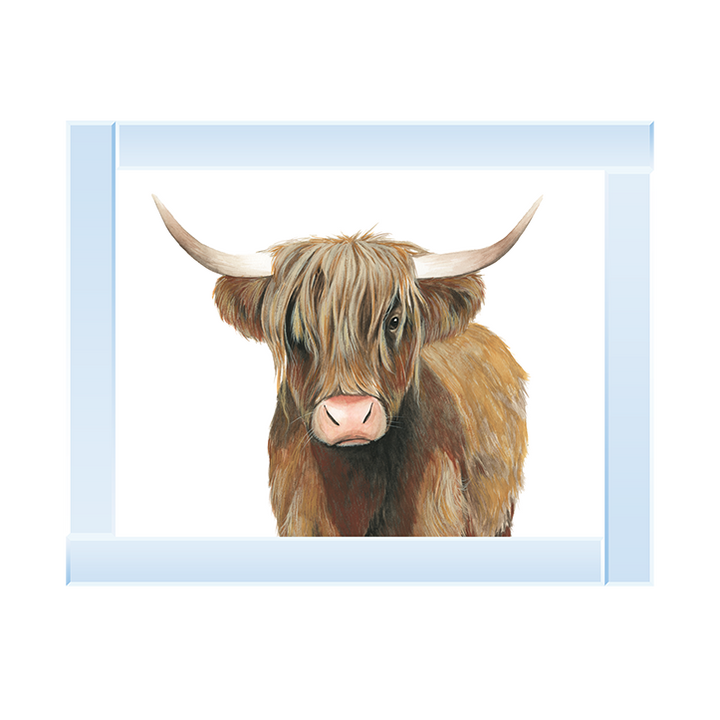 AN009 Highland Cattle II
