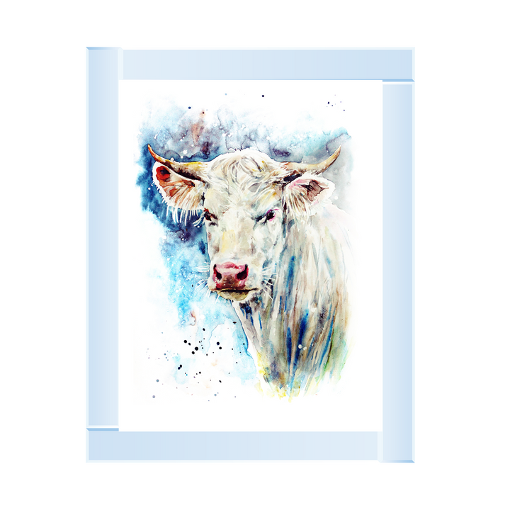 Rainbow Cow